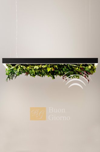 Подвесной светильник Meeting Silence Leaf