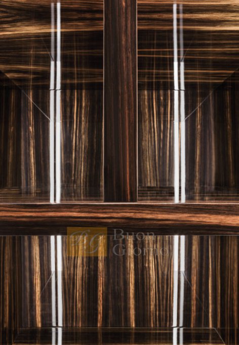 Гардеробная в современном стиле Venere